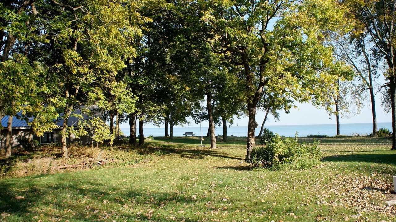 Photo of Outdoor in Kingsville