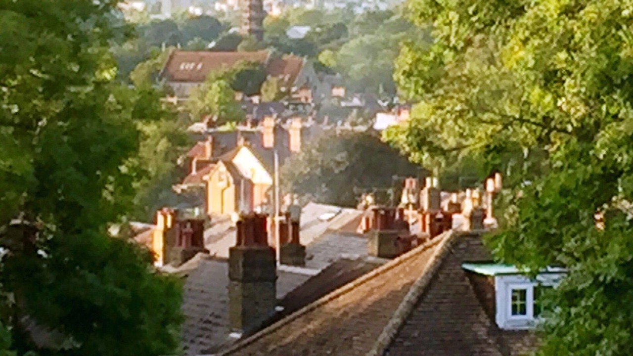 Photo of Others in South Richmond