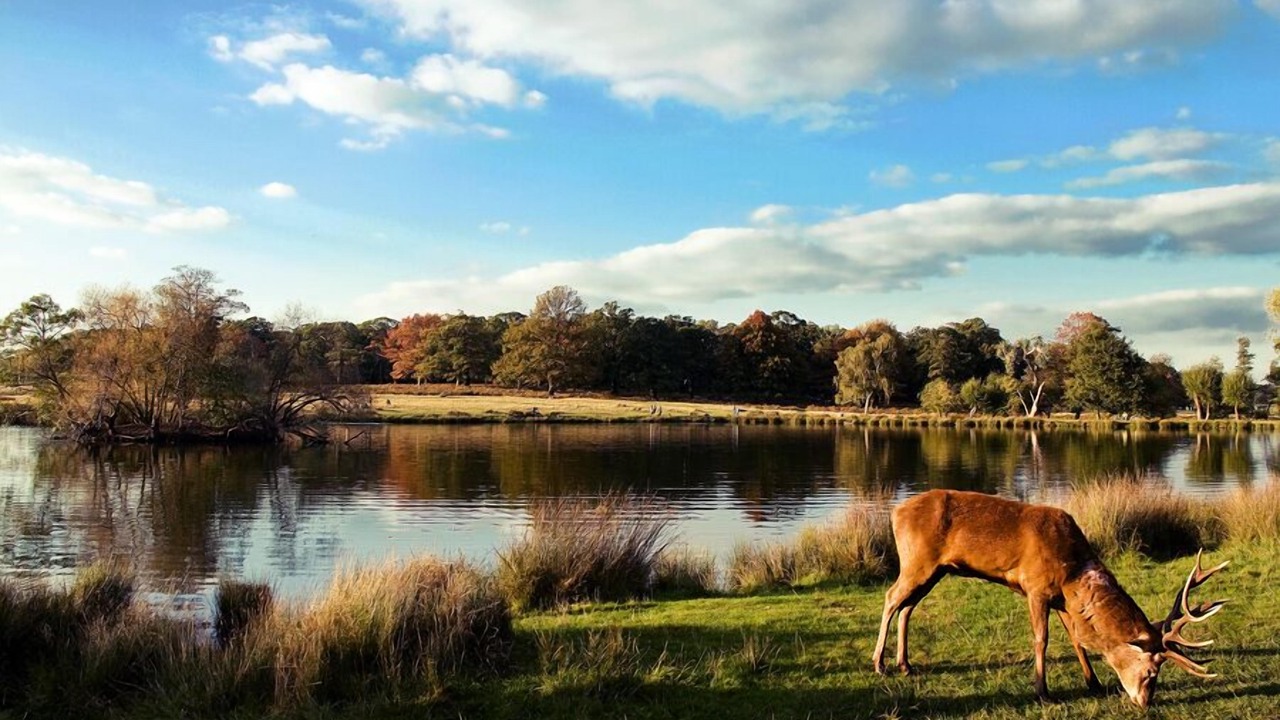 Photo of Others in South Richmond