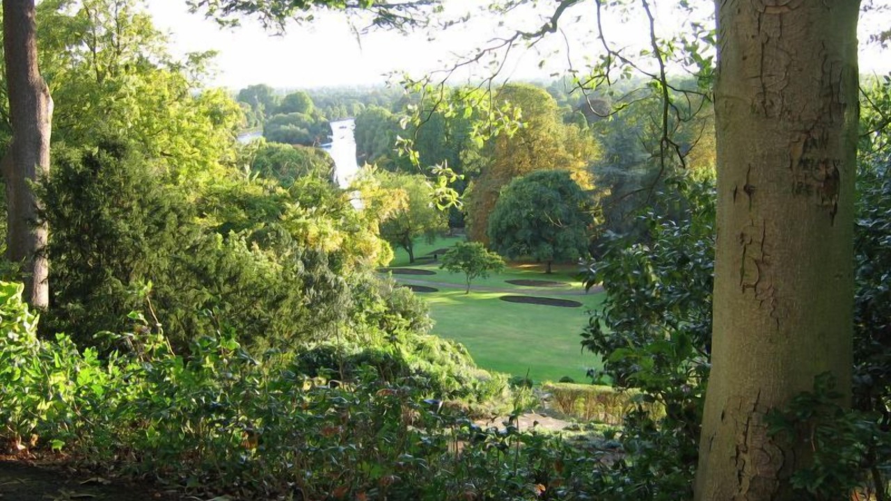 Photo of Others in South Richmond