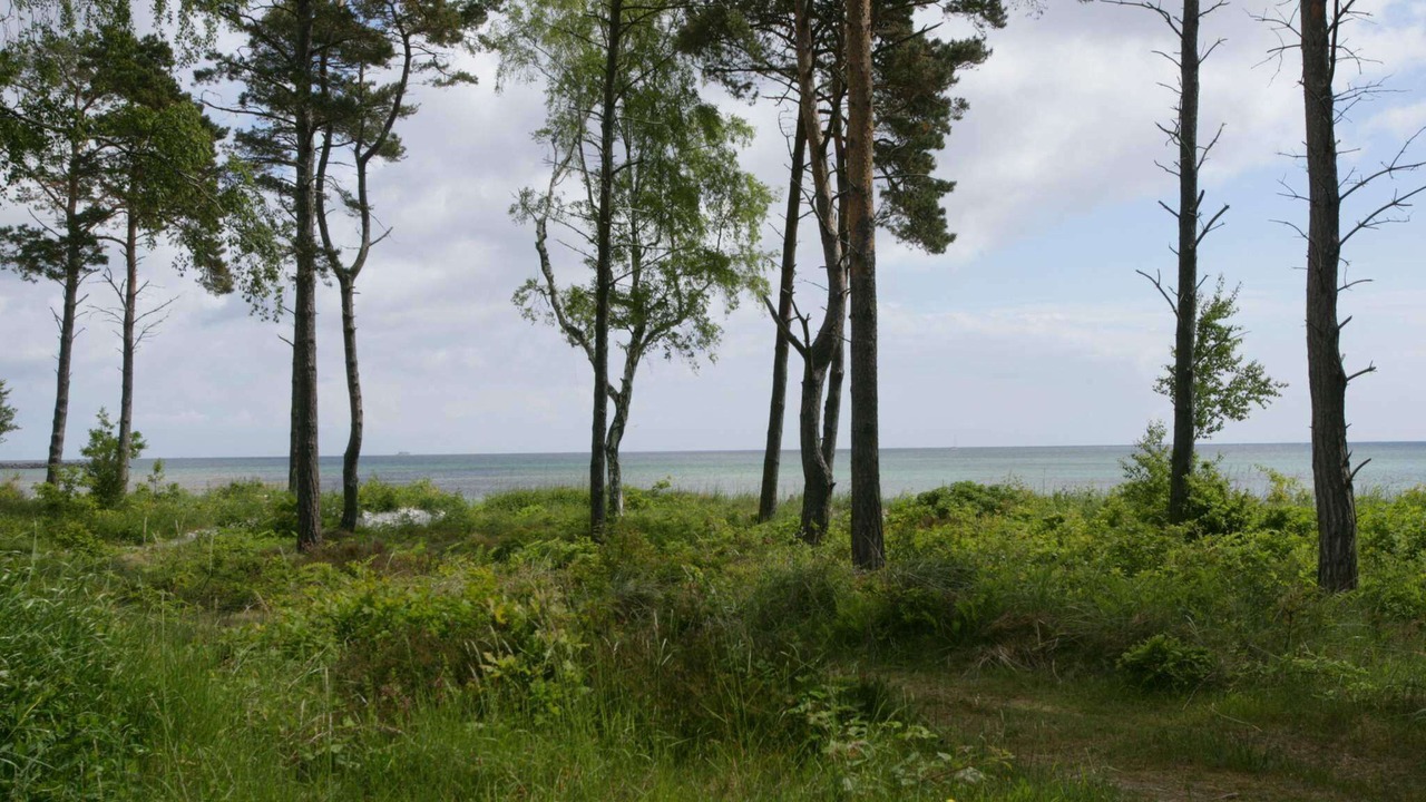 Photo of Others in Bedegaard