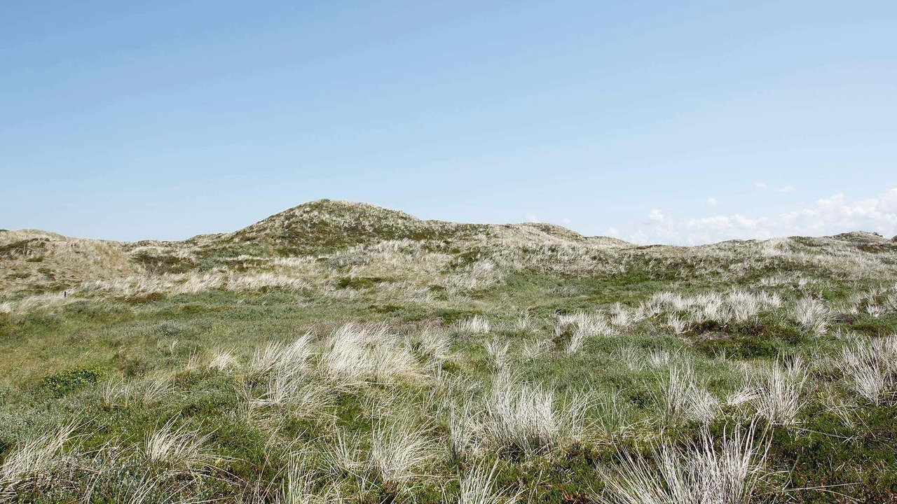 Photo of Others in Rødhus