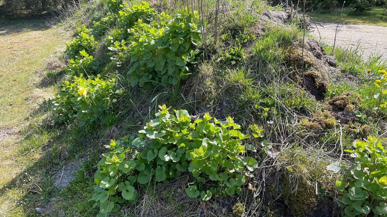 Photo of Outdoor in Rødhus
