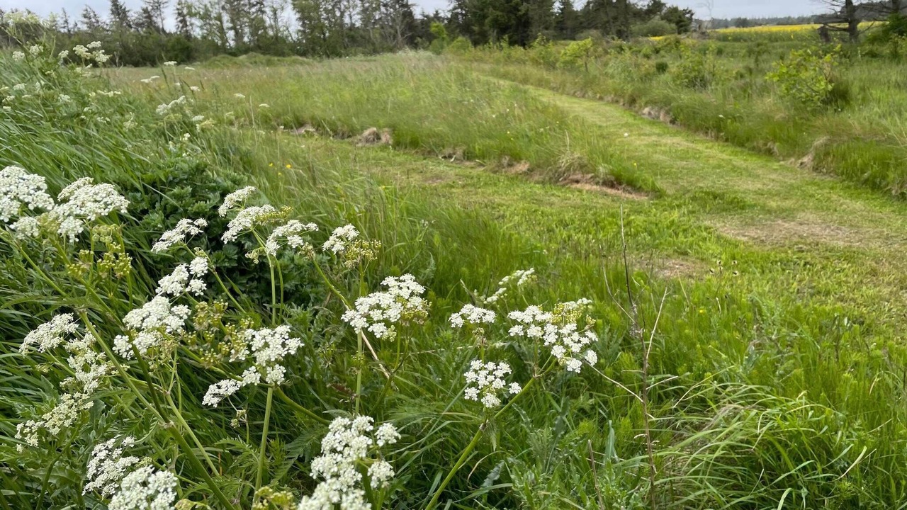 Photo of Others in Rødhus