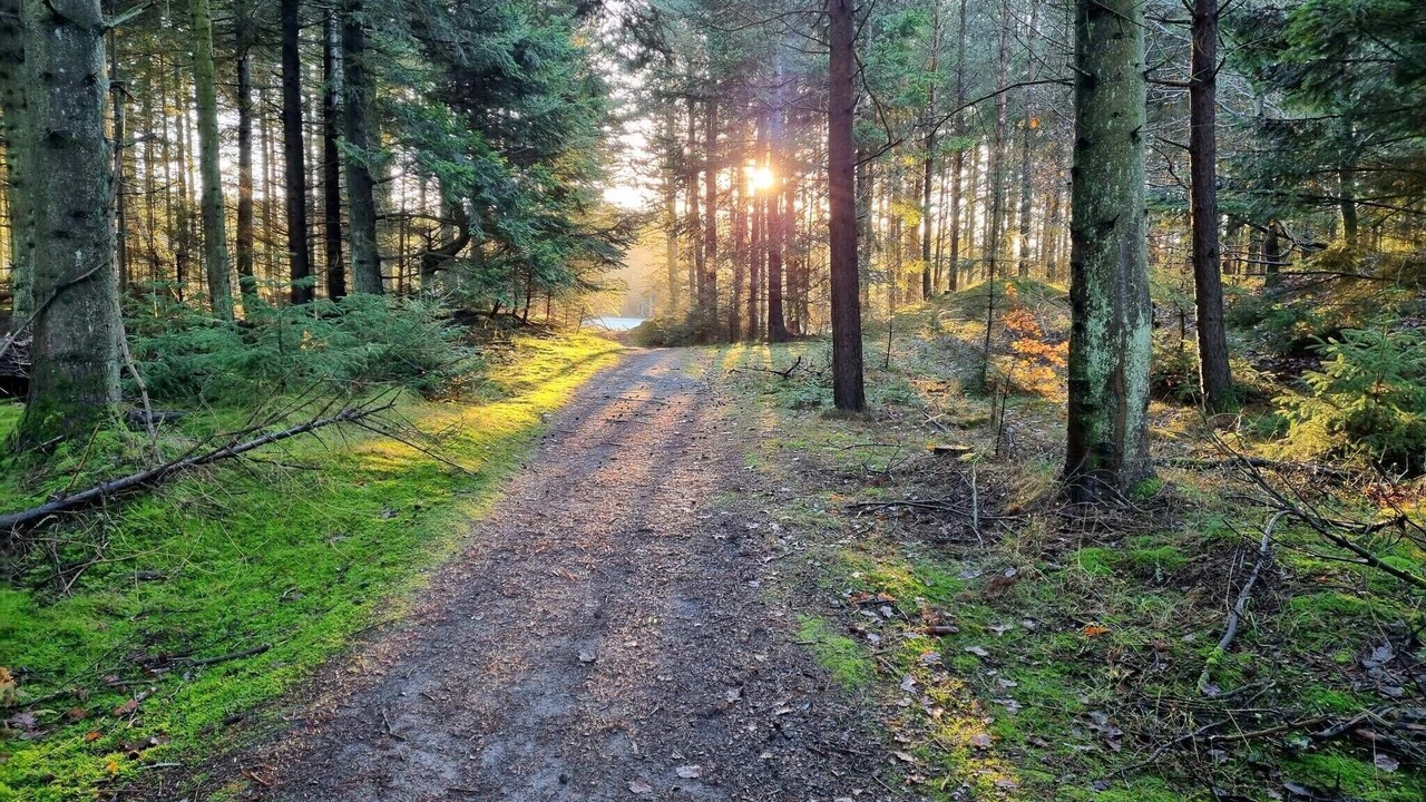 Photo of Others in Rødhus