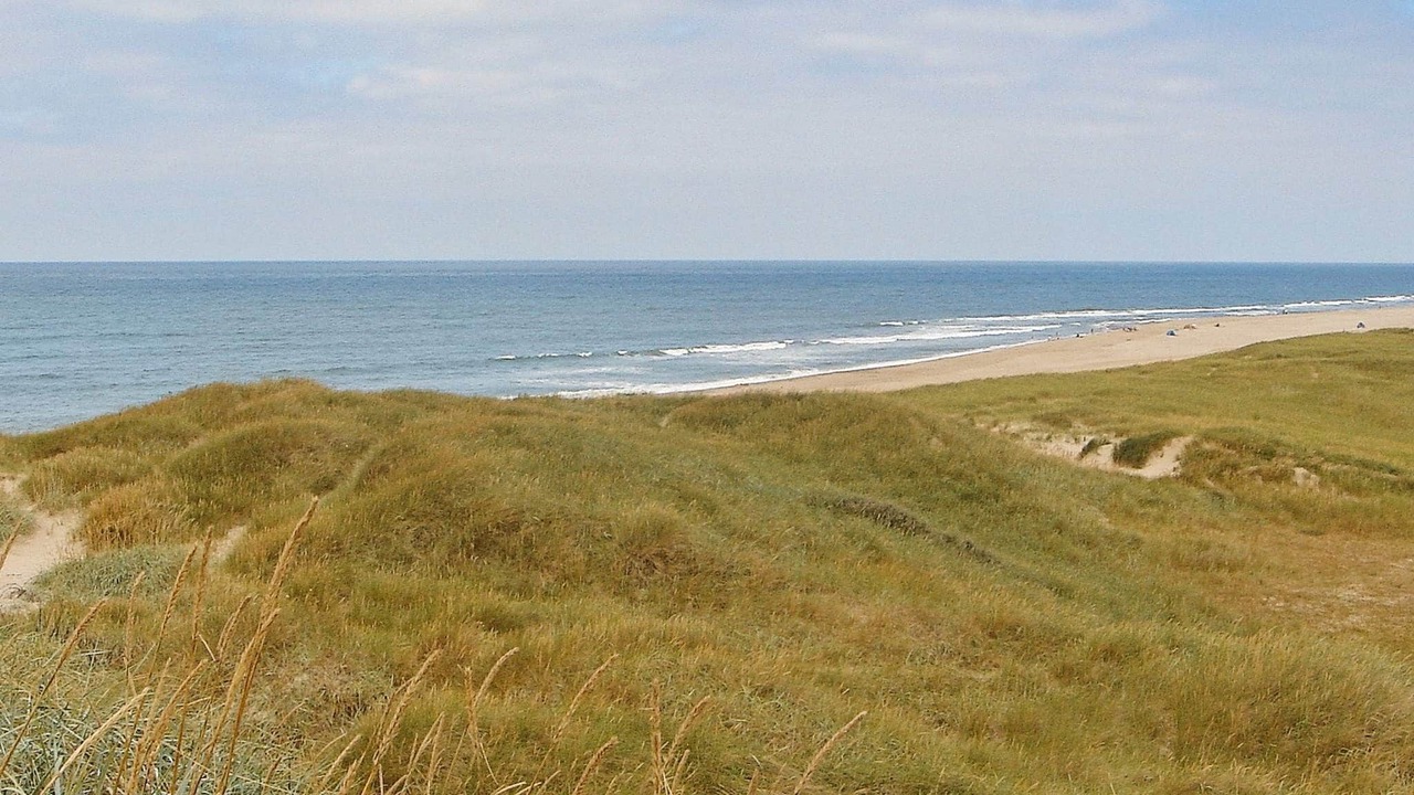 Photo of Others in Vrist Strand