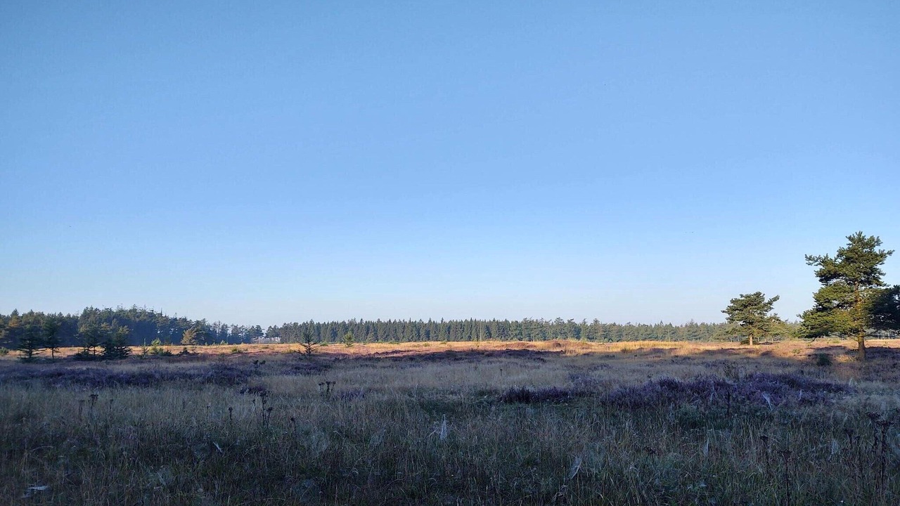 Photo of Others in Hovborg