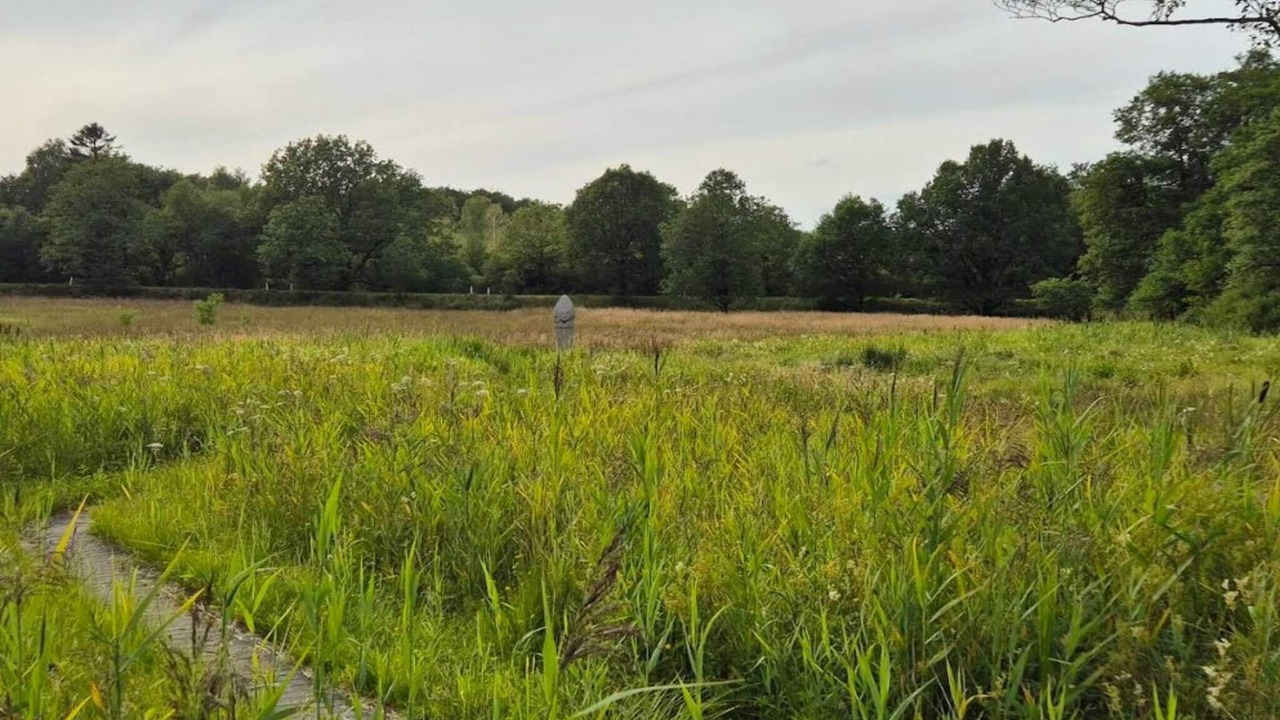 Photo of Others in Hovborg