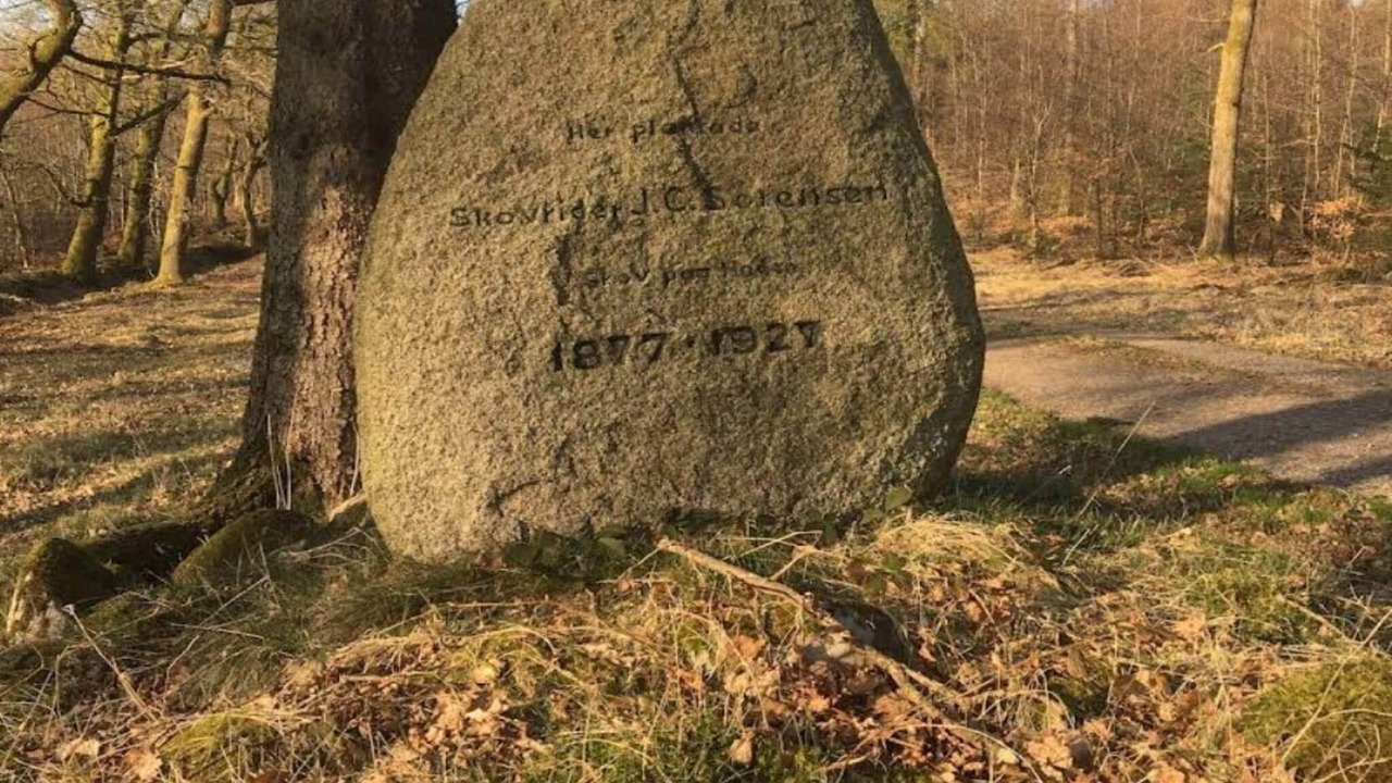 Photo of Others in Hovborg