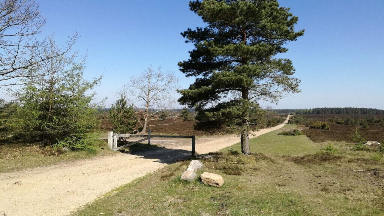 Photo of Others in Hovborg