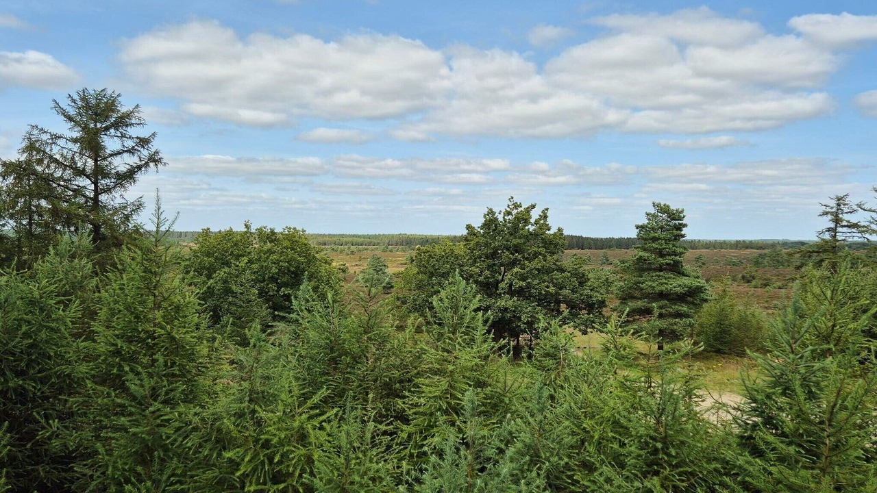 Photo of Others in Hovborg