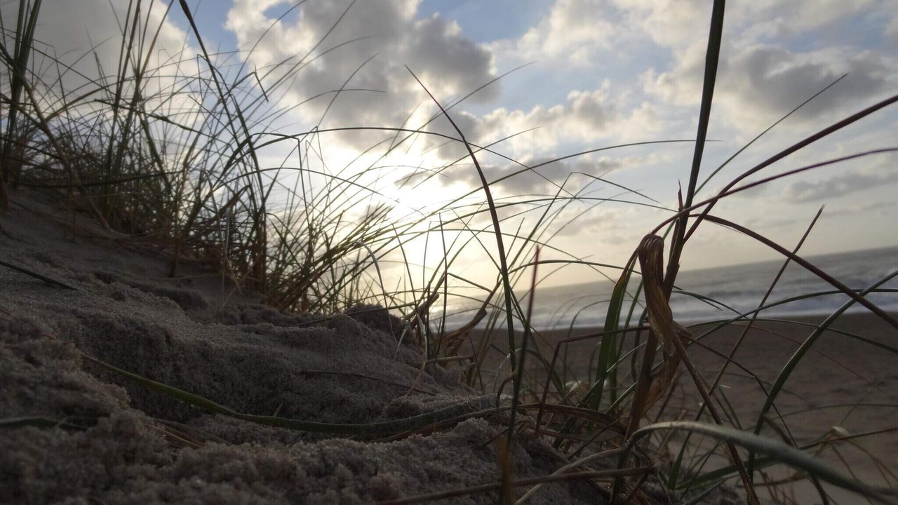 Photo of Others in Vrist Strand