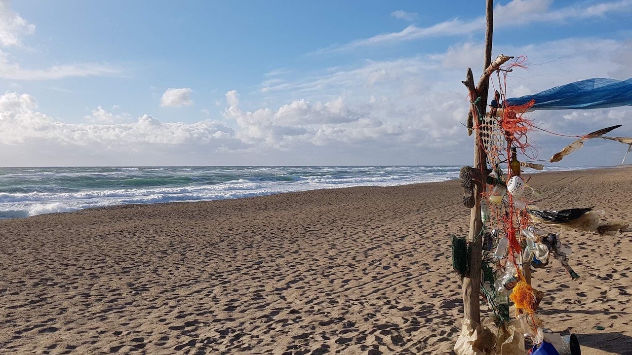 Photo of Others in Vrist Strand