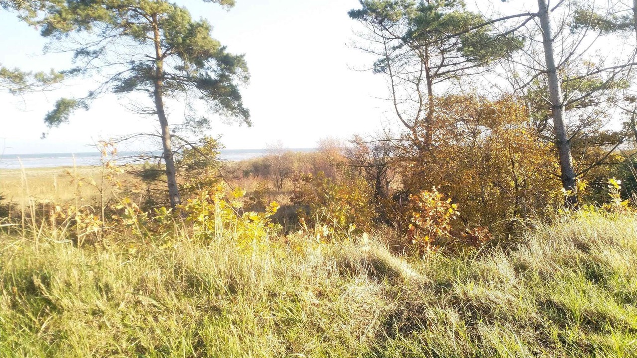 Photo of Others in Nørre Hurup