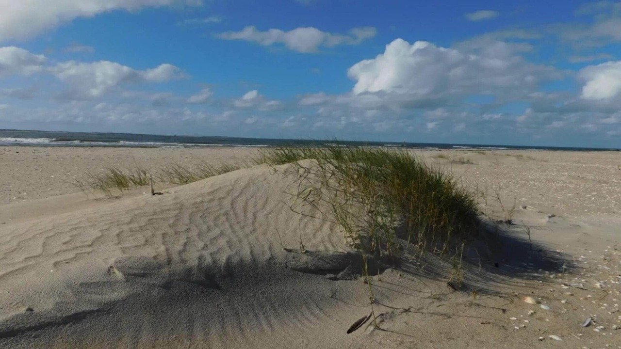 Photo of Others in Sønderstrand