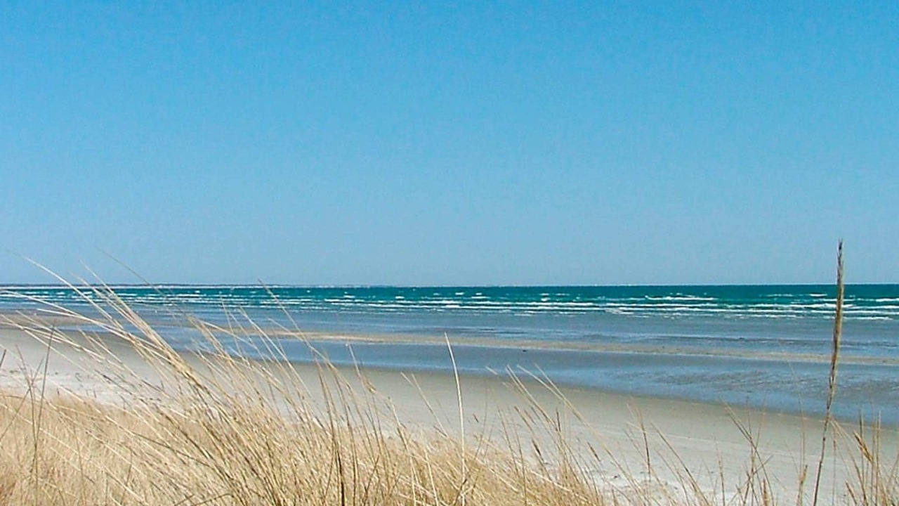 Photo of Others in Jerup