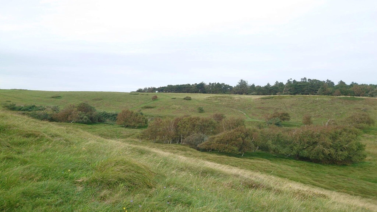 Photo of Others in Vejby