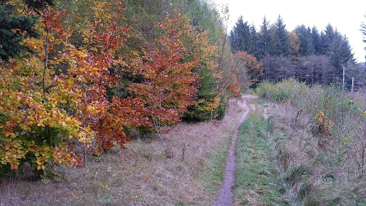 Photo of Others in Helberskov