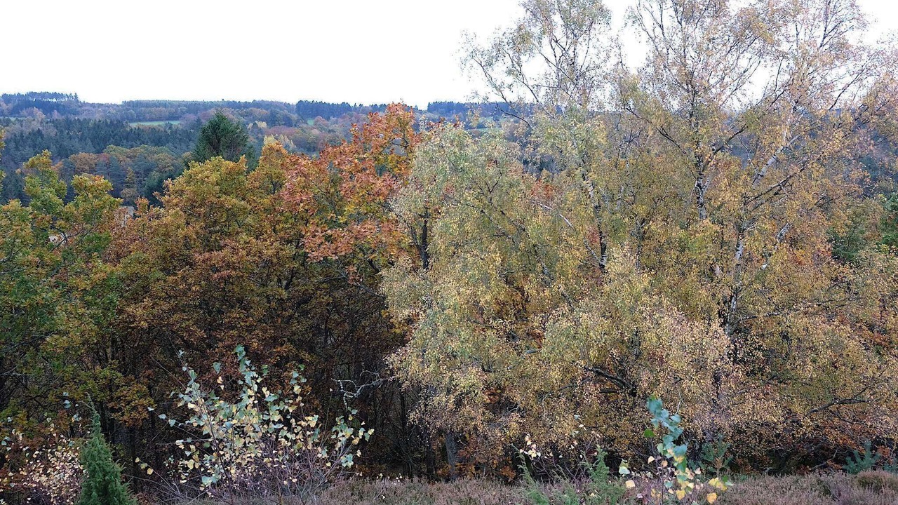 Photo of Others in Helberskov