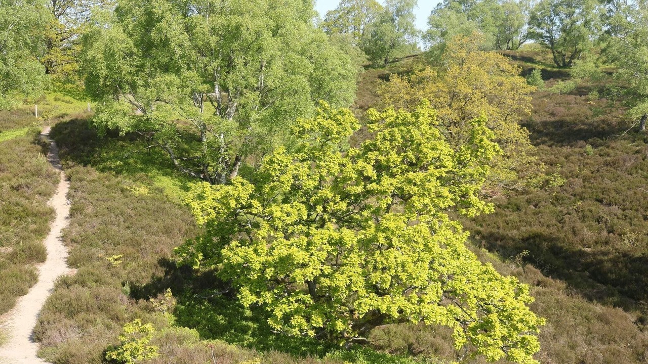 Photo of Others in Helberskov