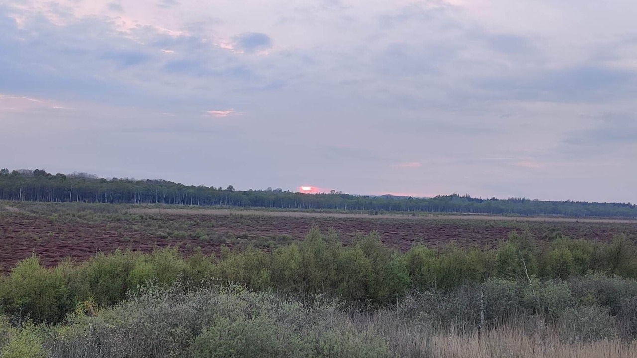 Photo of Others in Helberskov