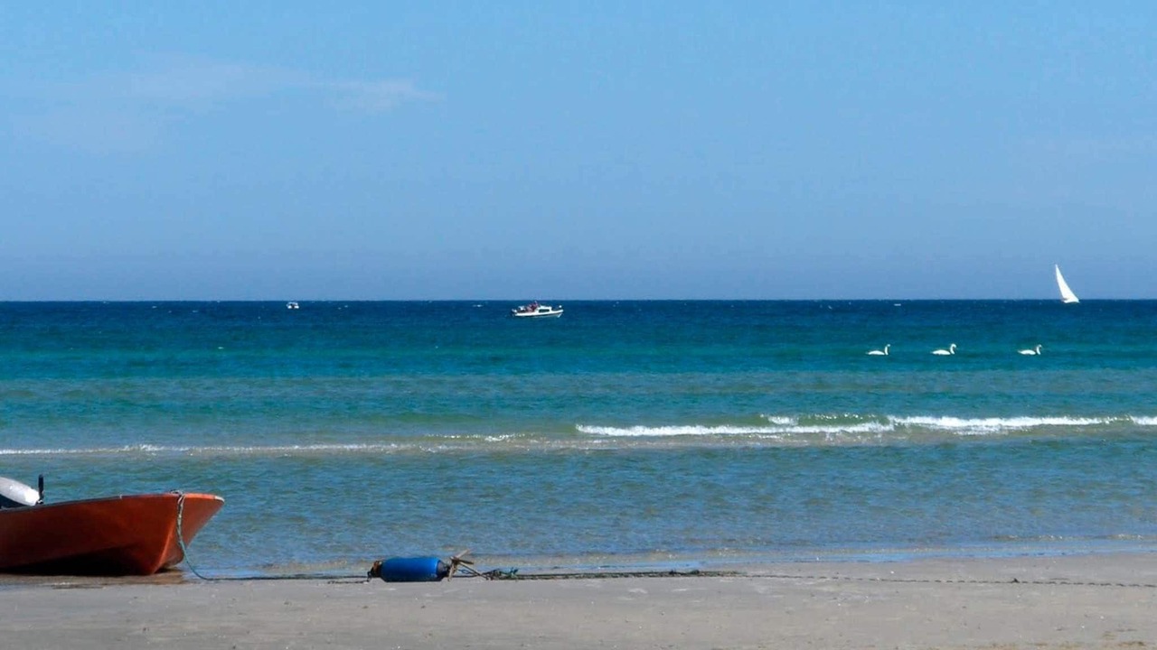 Photo of Others in Bønnerup Strand