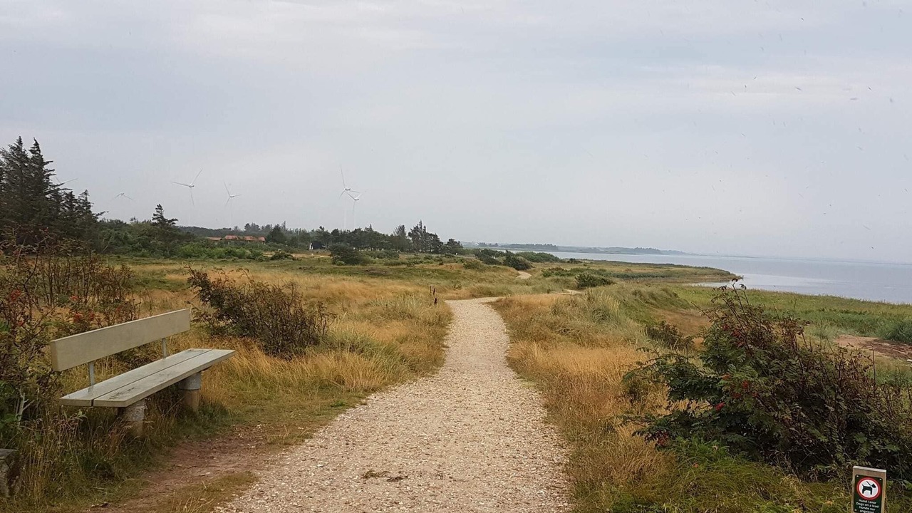 Photo of Others in Hemmet