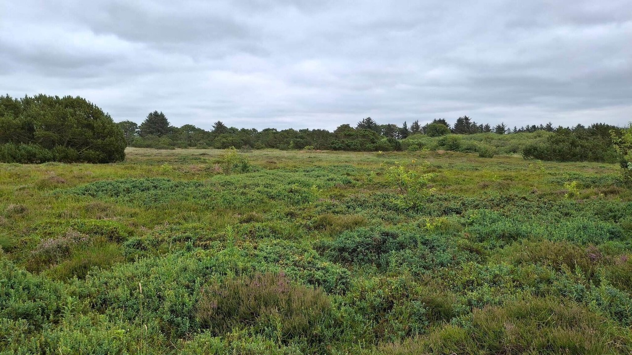 Photo of Others in Hemmet