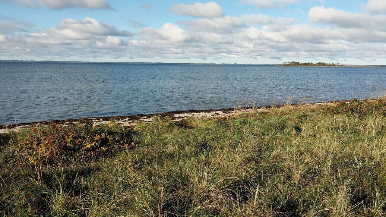 Photo of Others in Hornsved