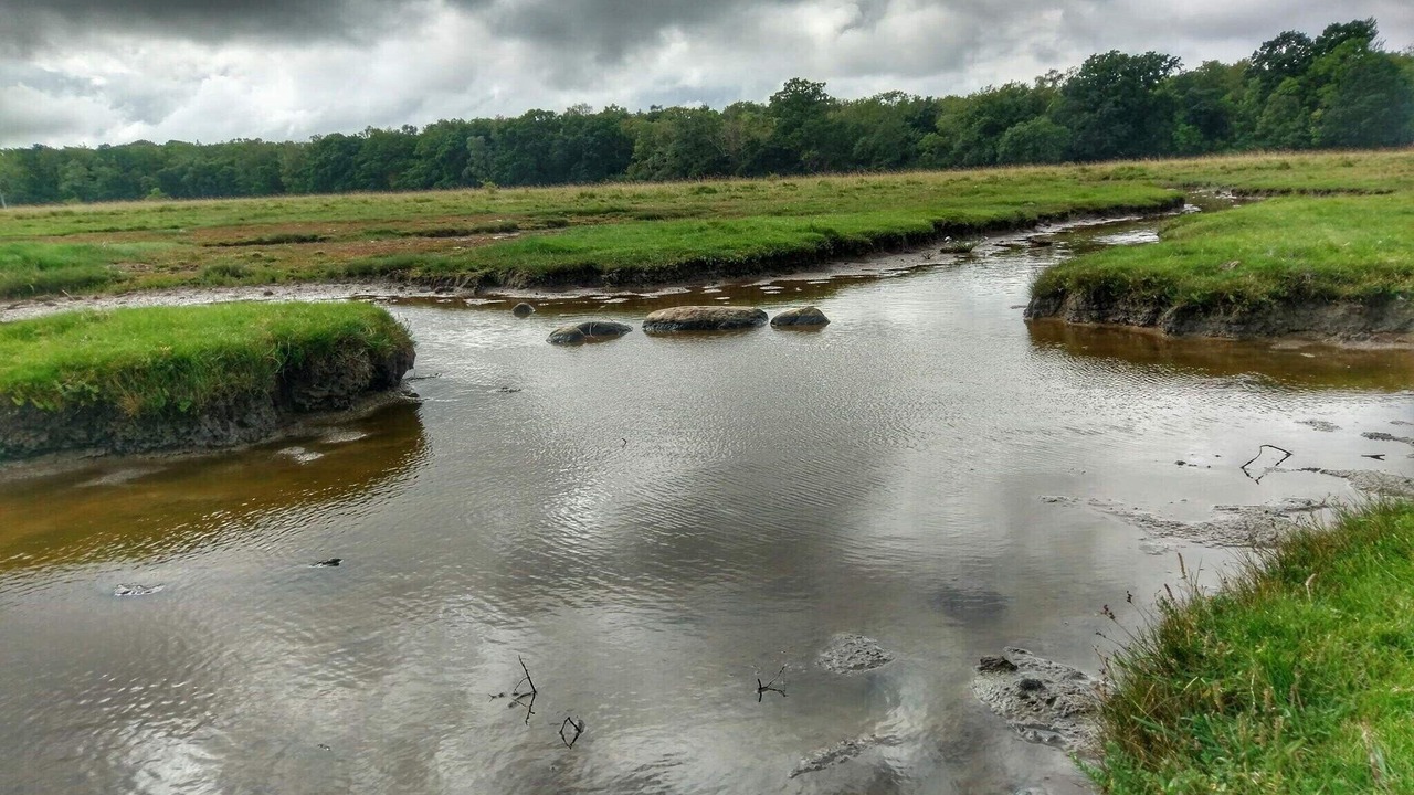Photo of Others in Hornsved