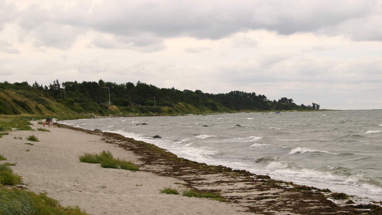 Photo of Others in Hornsved
