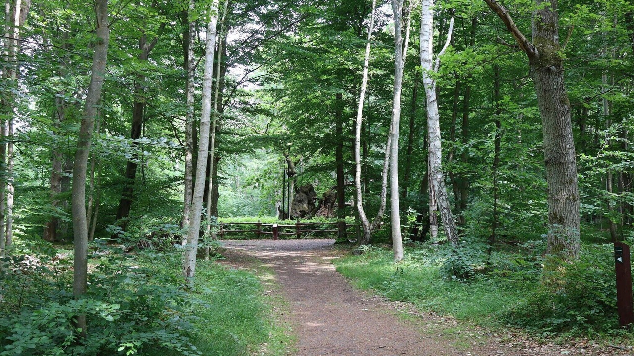 Photo of Others in Hornsved