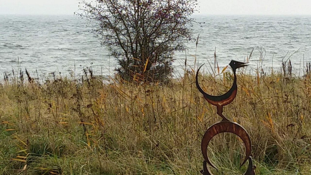 Photo of Others in Helnæs By