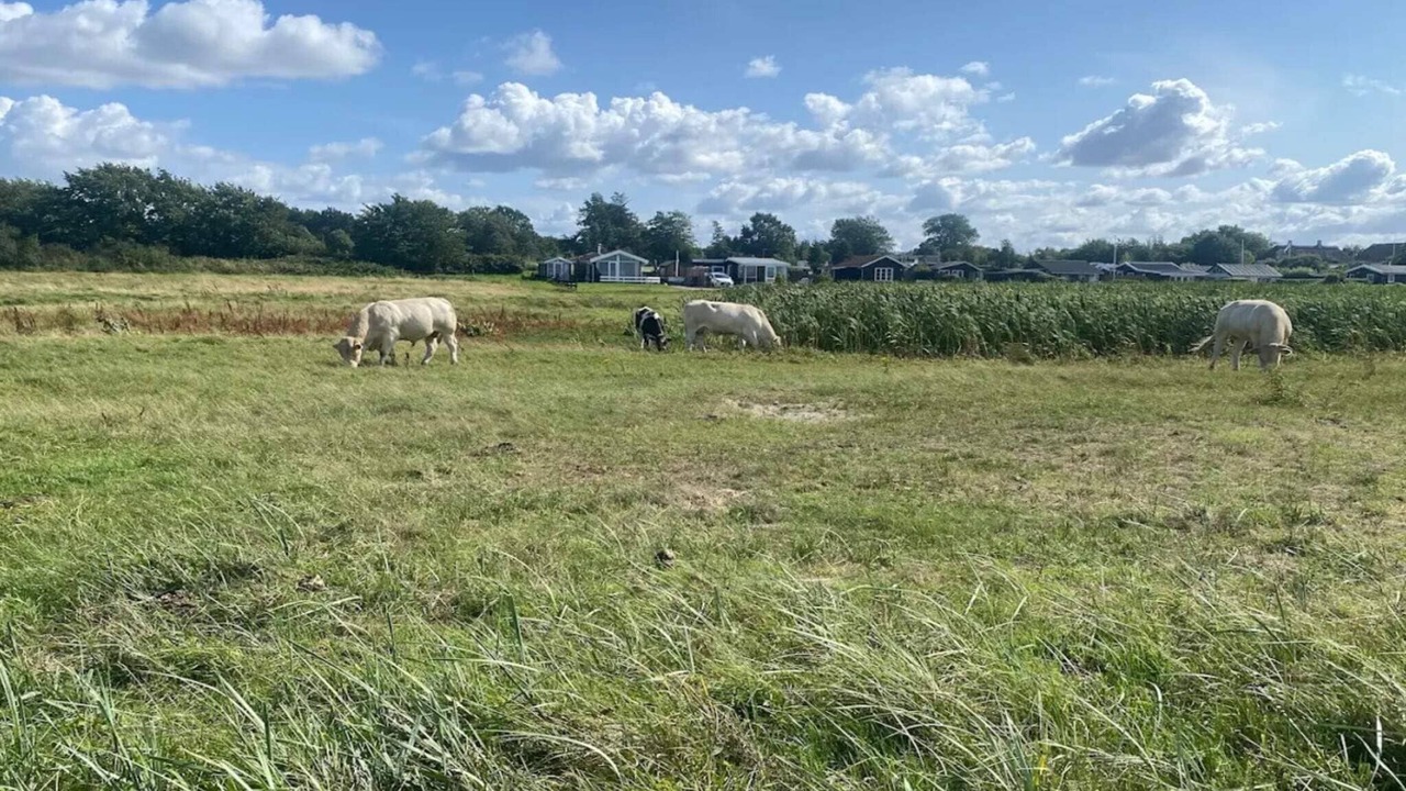 Photo of Others in Nordborg