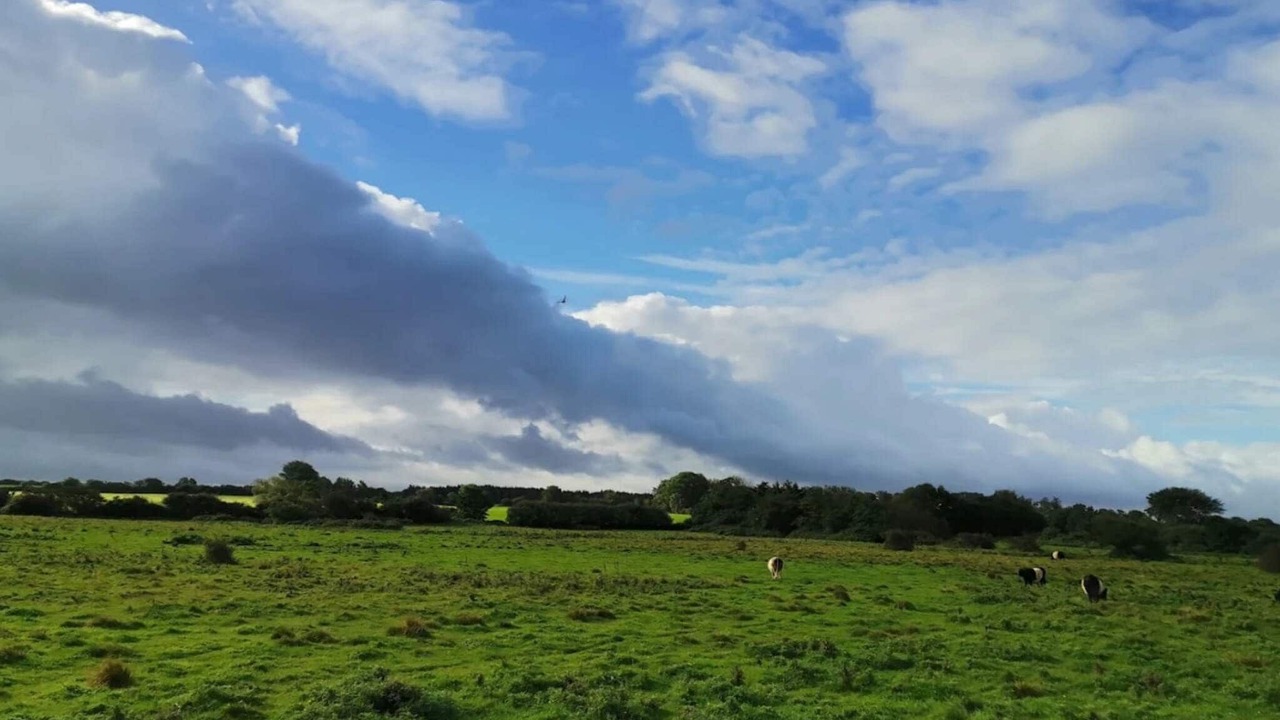 Photo of Others in Nordborg