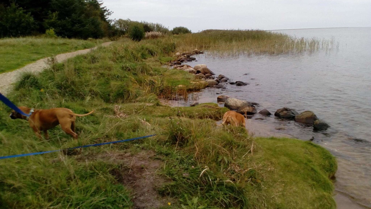 Photo of Others in Sønder Nissum