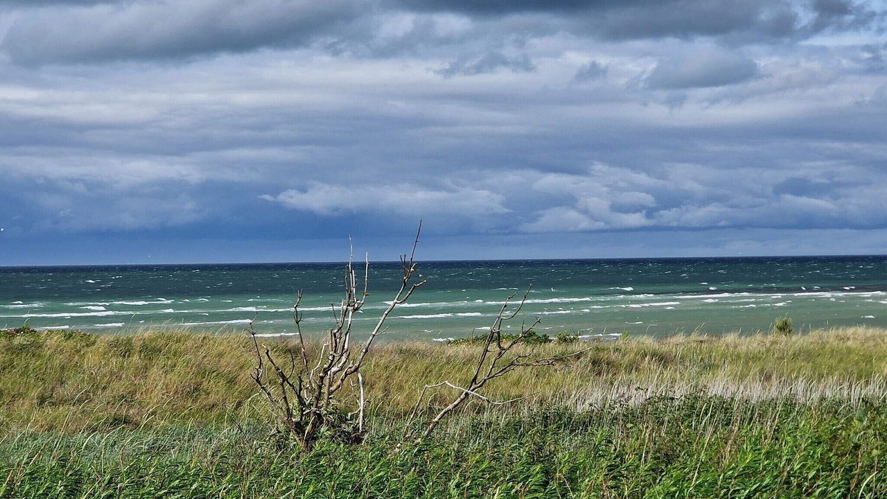 Photo of Others in Fjellerup Strand