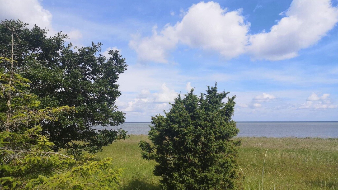 Photo of Others in Fjellerup Strand