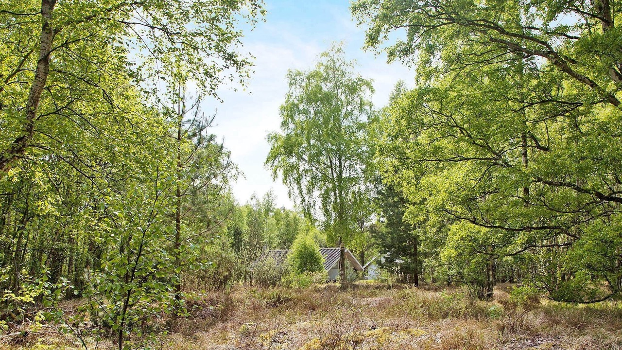 Photo of Others in Læsø
