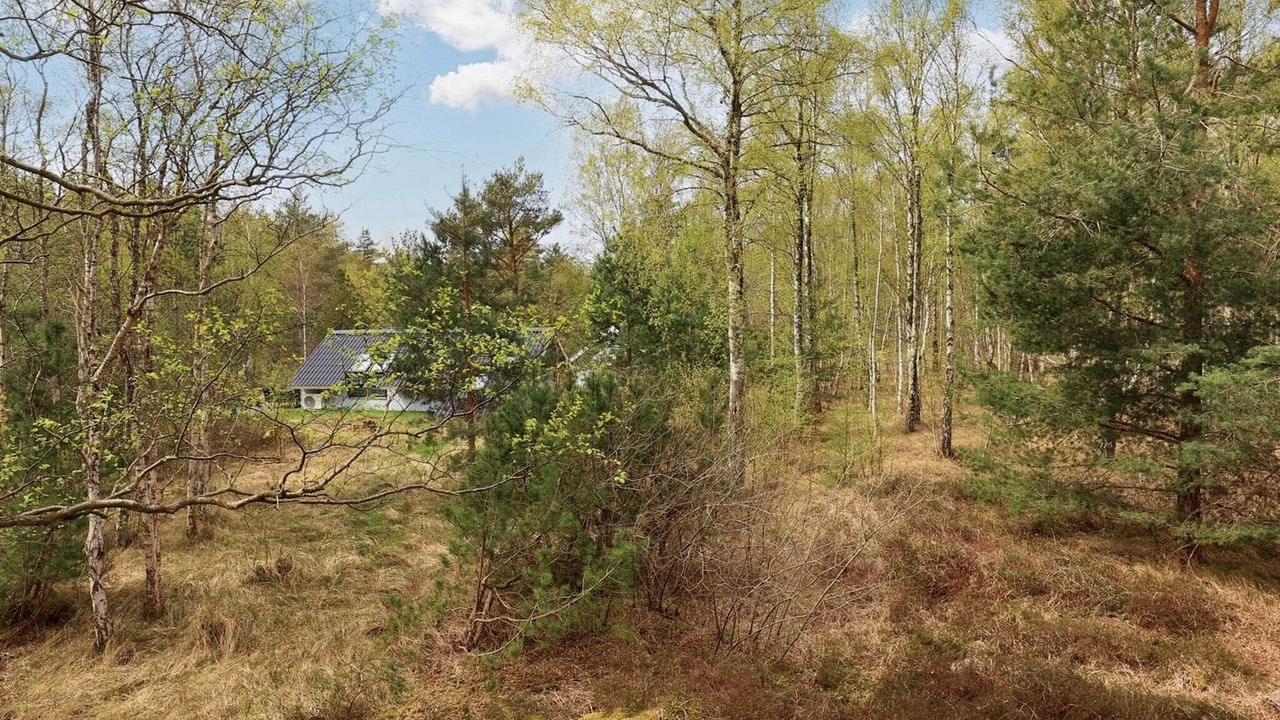 Photo of Others in Læsø