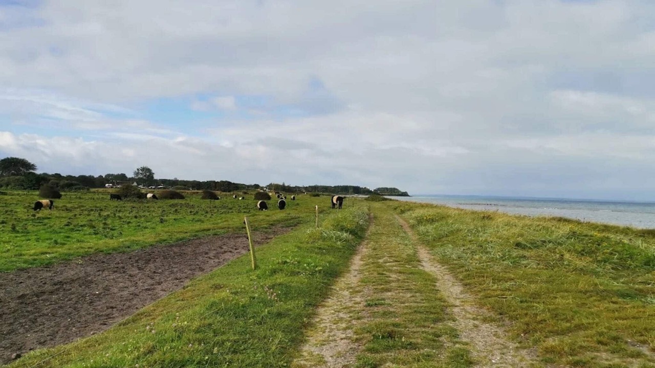 Photo of Others in Nordborg