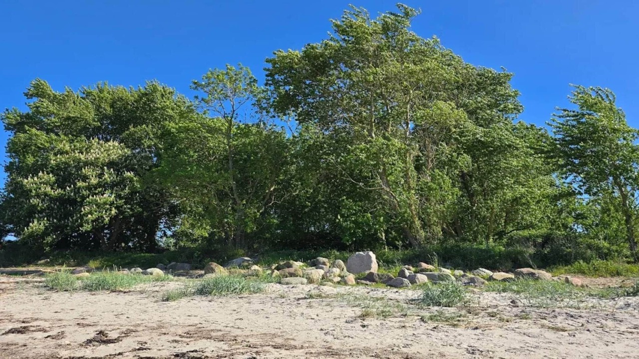 Photo of Others in Nordborg