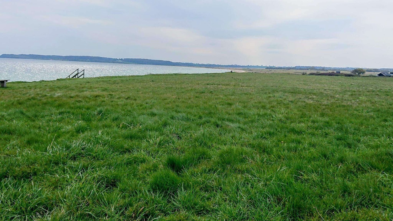 Photo of Others in Flovt Strand