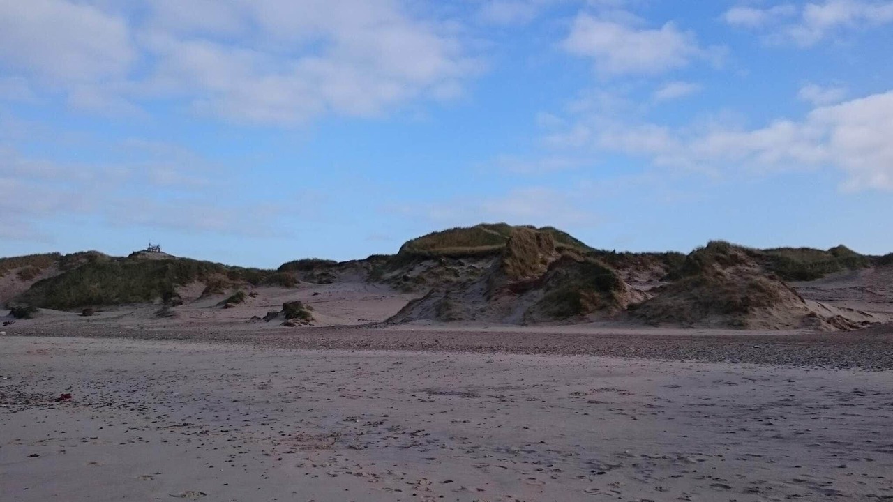 Photo of Others in Sønder Nissum