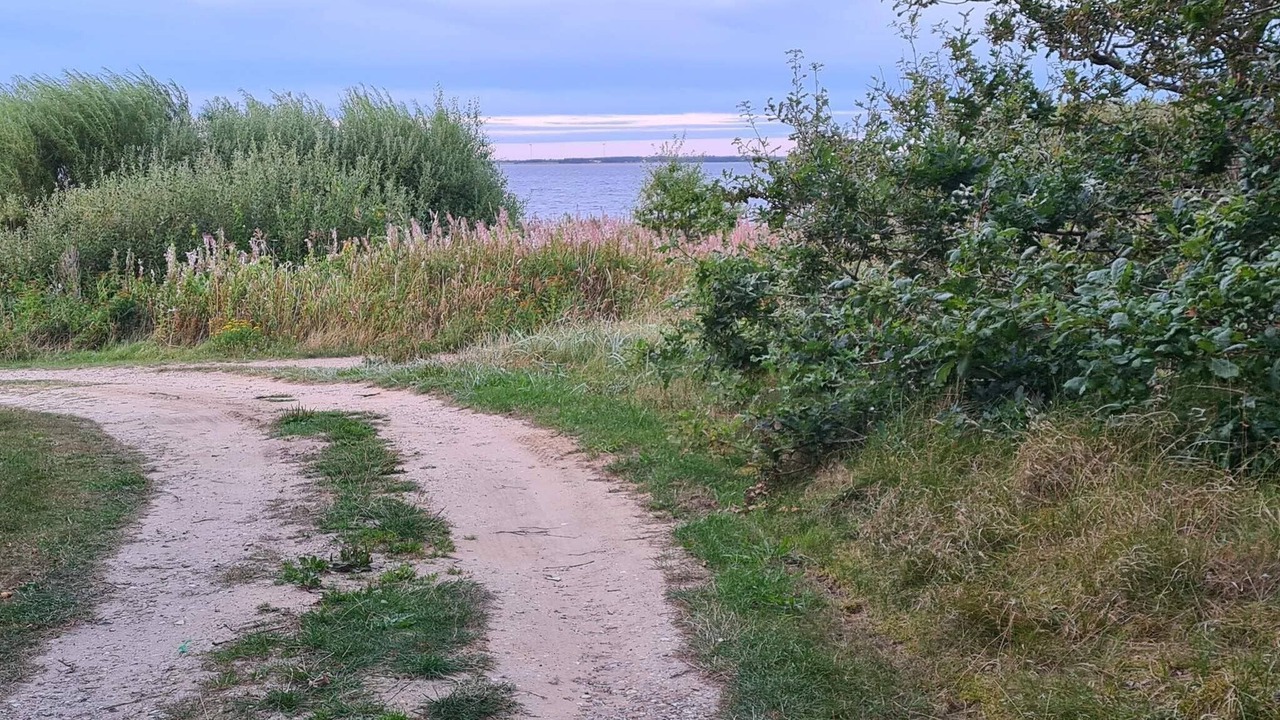 Photo of Others in Sønder Nissum