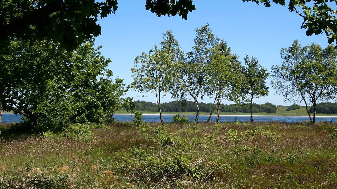 Photo of Others in Sundstrup