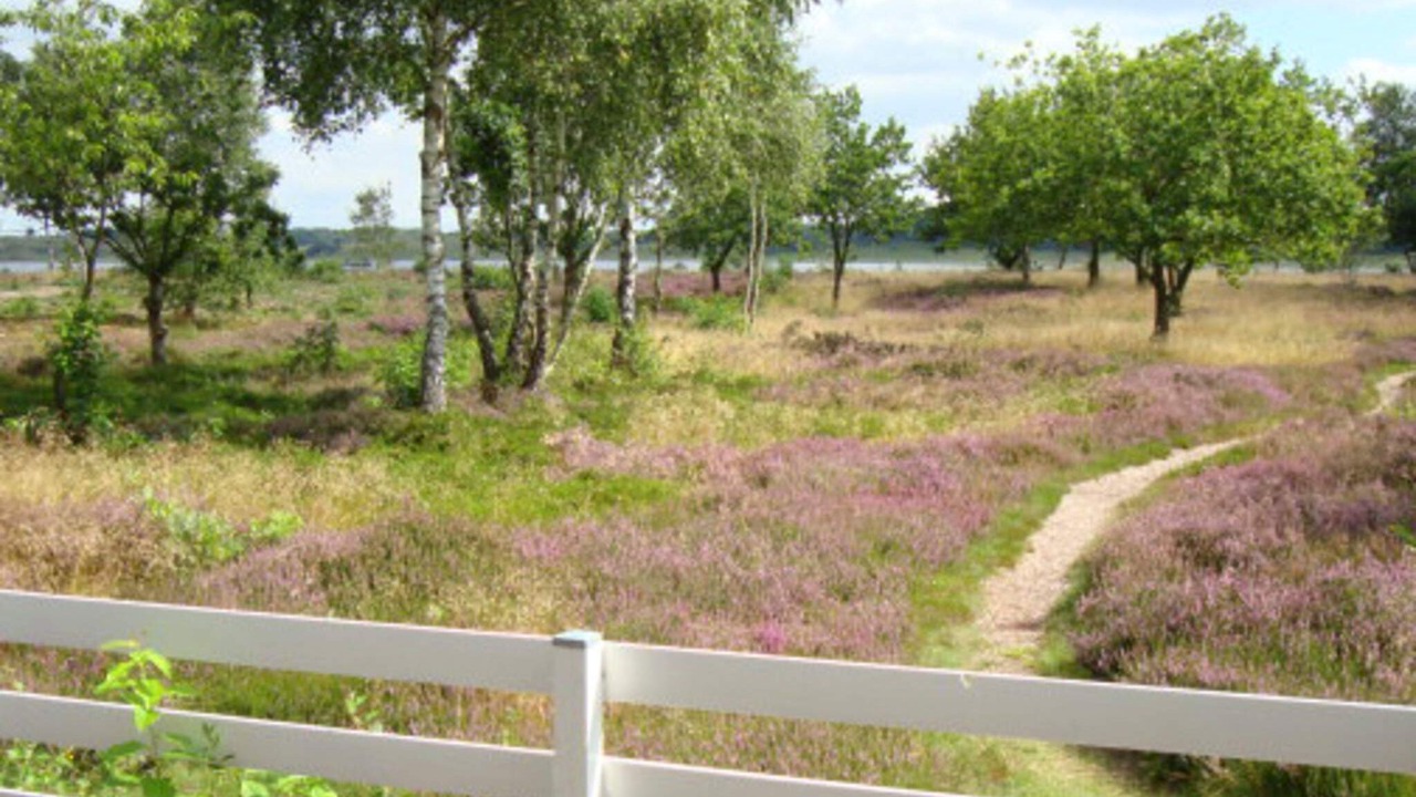 Photo of Others in Sundstrup