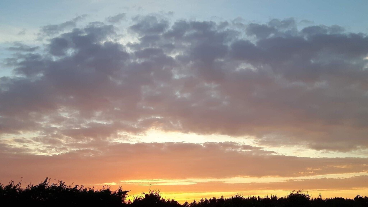 Photo of Others in Nørre Lyngby