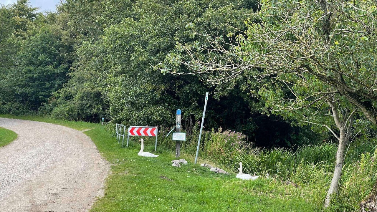 Photo of Outdoor in Sjaelborg