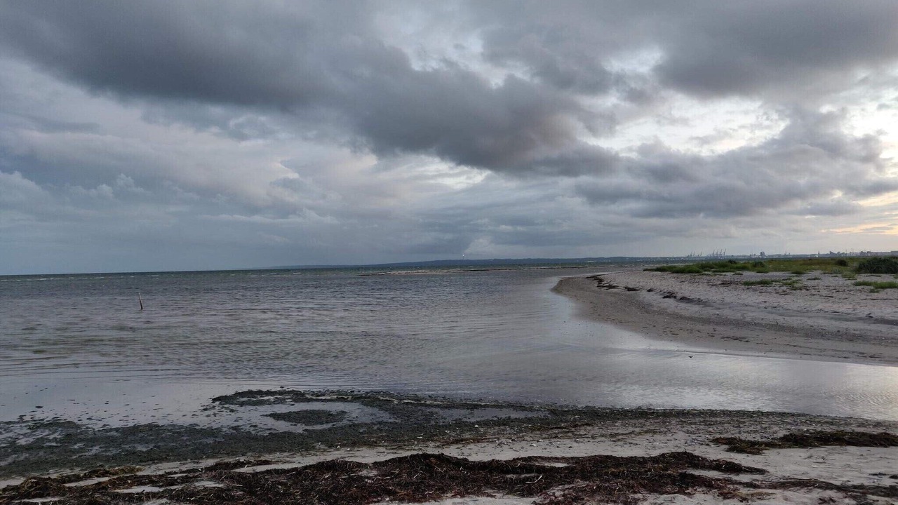 Photo of Others in Skødshoved Strand